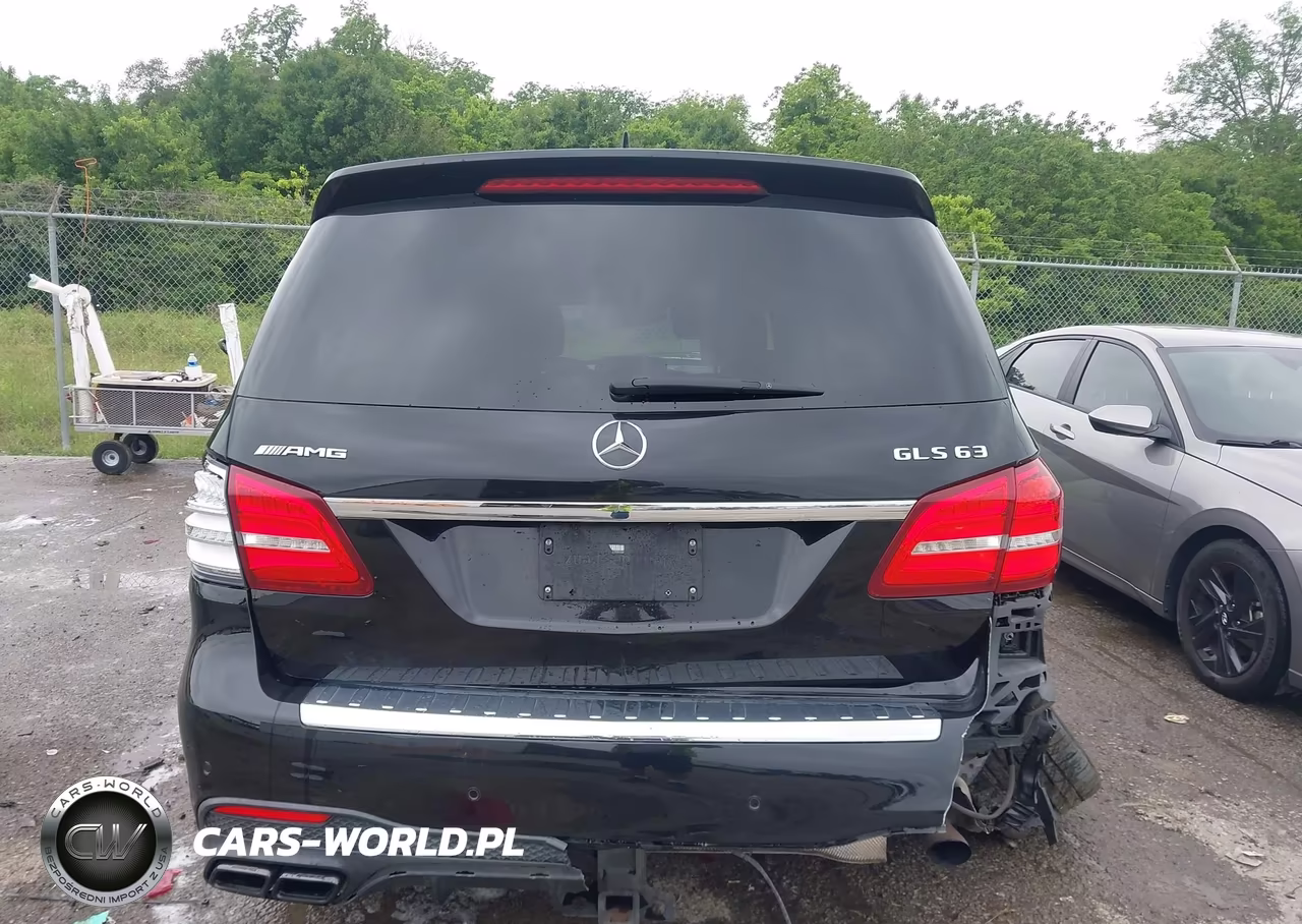 2019 Mercedes-Benz Amg Gls 63 4Matic VIN:4JGDF7FE3KB190892 - 17