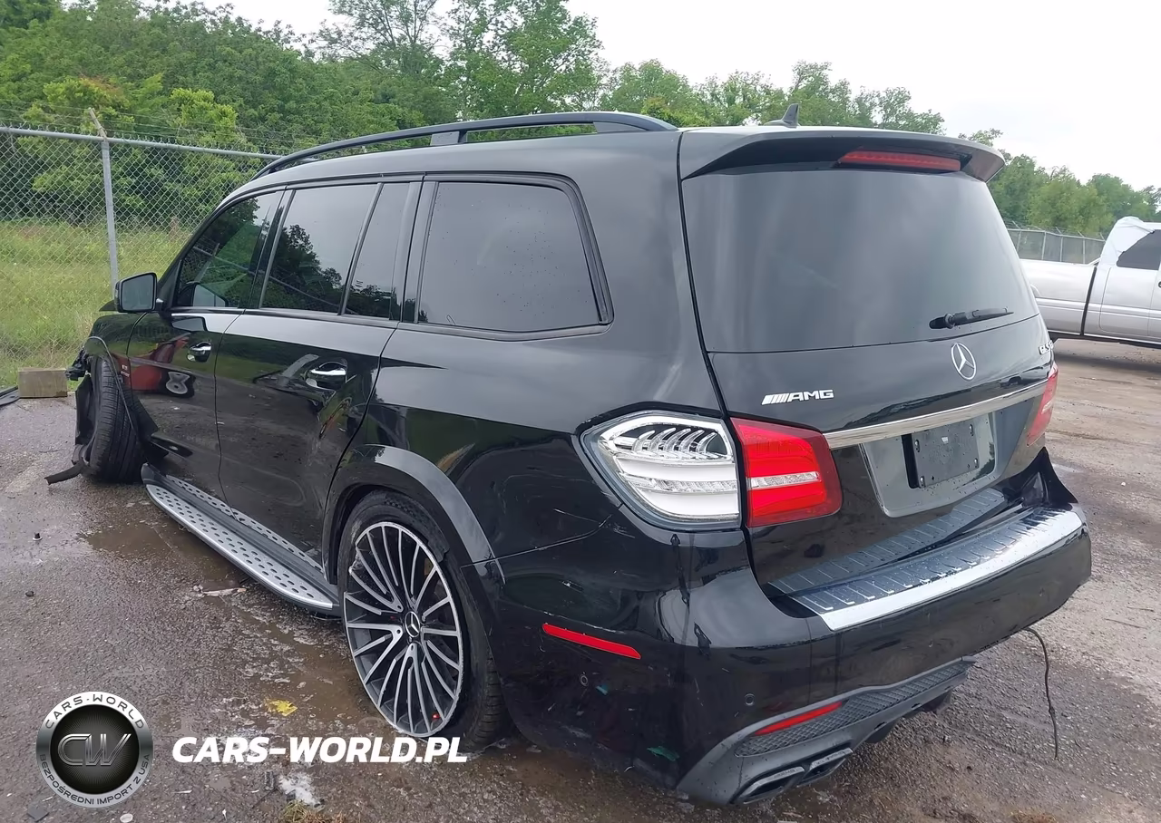 2019 Mercedes-Benz Amg Gls 63 4Matic VIN:4JGDF7FE3KB190892 - 3