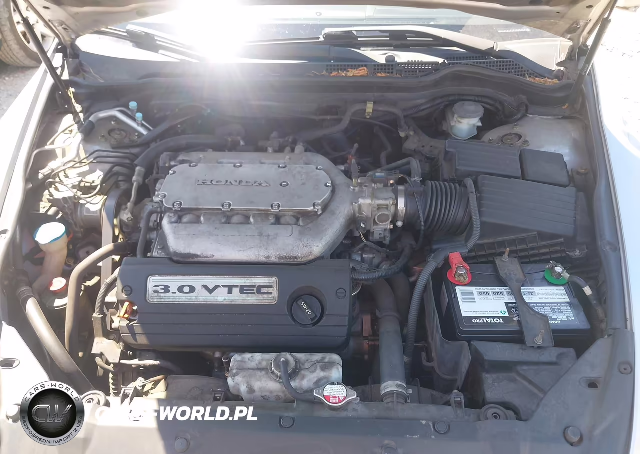 2004 Honda Accord 3.0 Ex VIN:1HGCM66534A063862 - 10