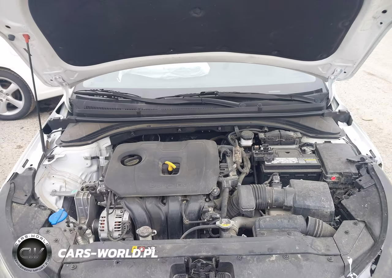 2020 HYUNDAI ELANTRA SEL VIN:5NPD84LF9LH537815 - 10