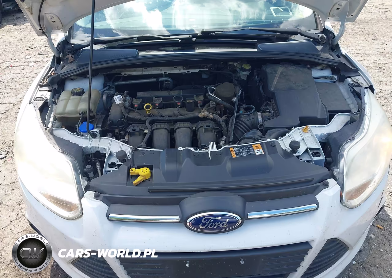 2014 Ford Focus Se VIN:1FADP3K29EL415844 - 10