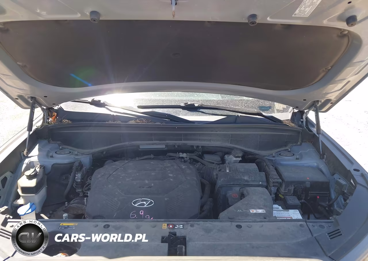 2020 Hyundai Palisade Limited VIN:KM8R5DHE3LU108895 - 10