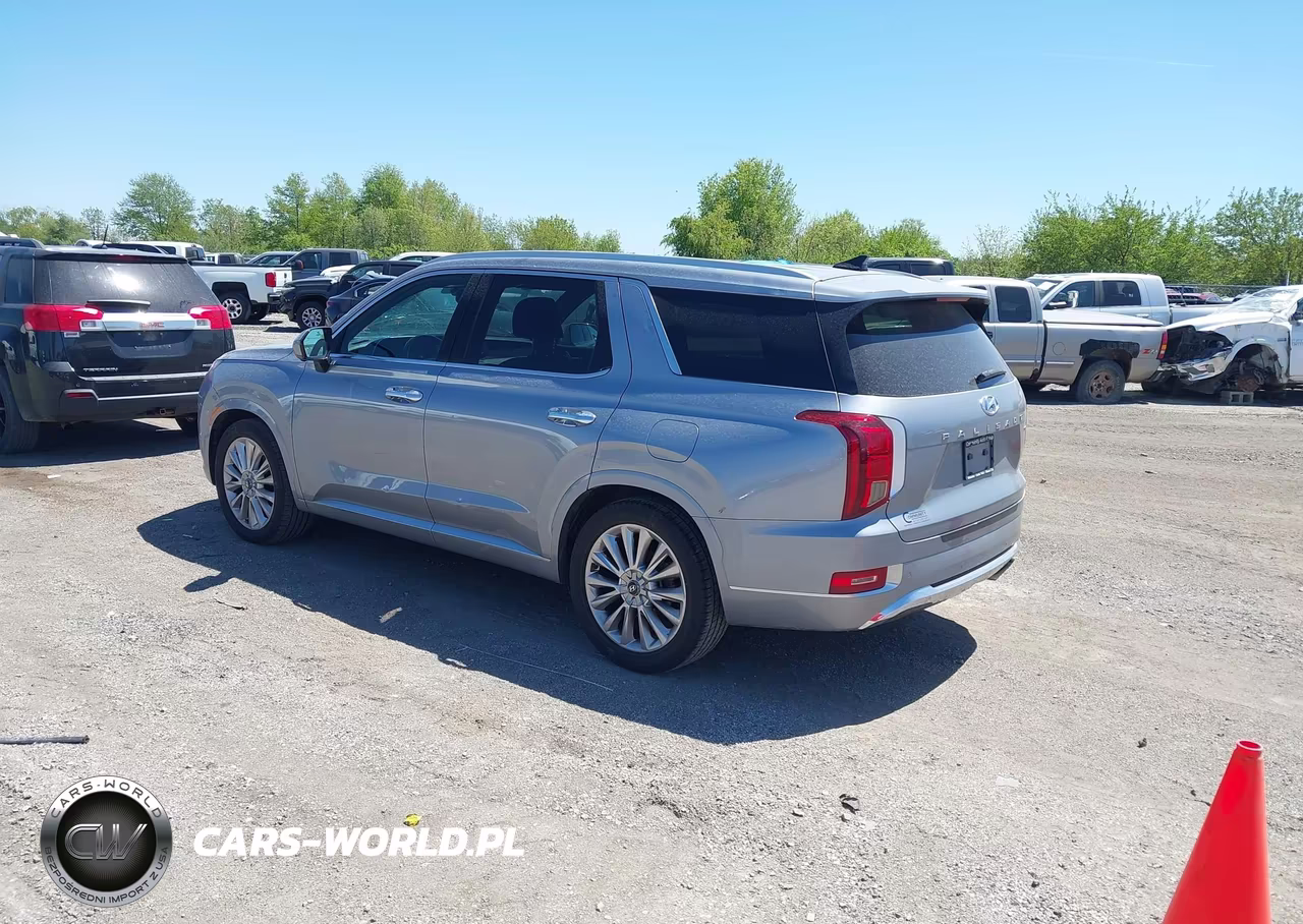 2020 Hyundai Palisade Limited VIN:KM8R5DHE3LU108895 - 3