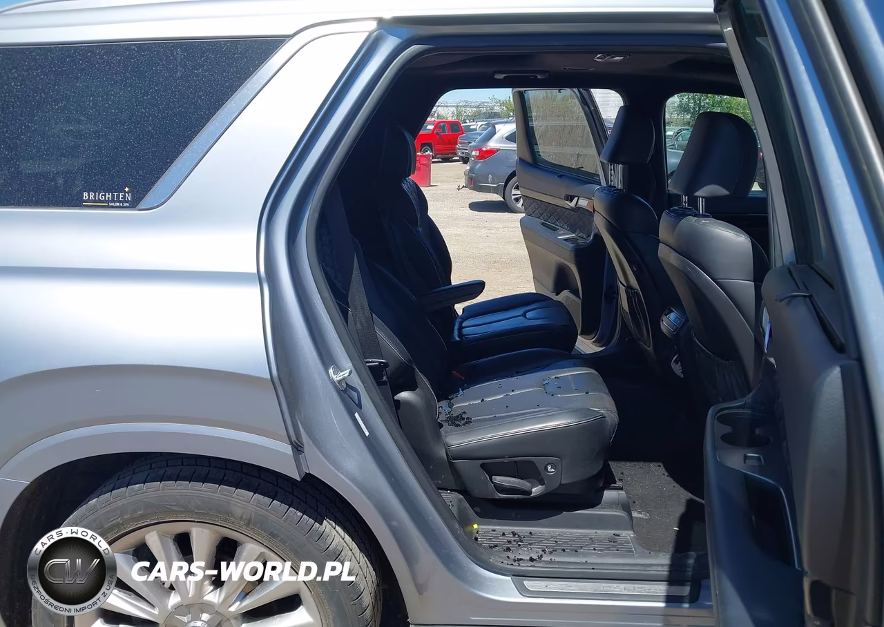 2020 Hyundai Palisade Limited VIN:KM8R5DHE3LU108895 - 8