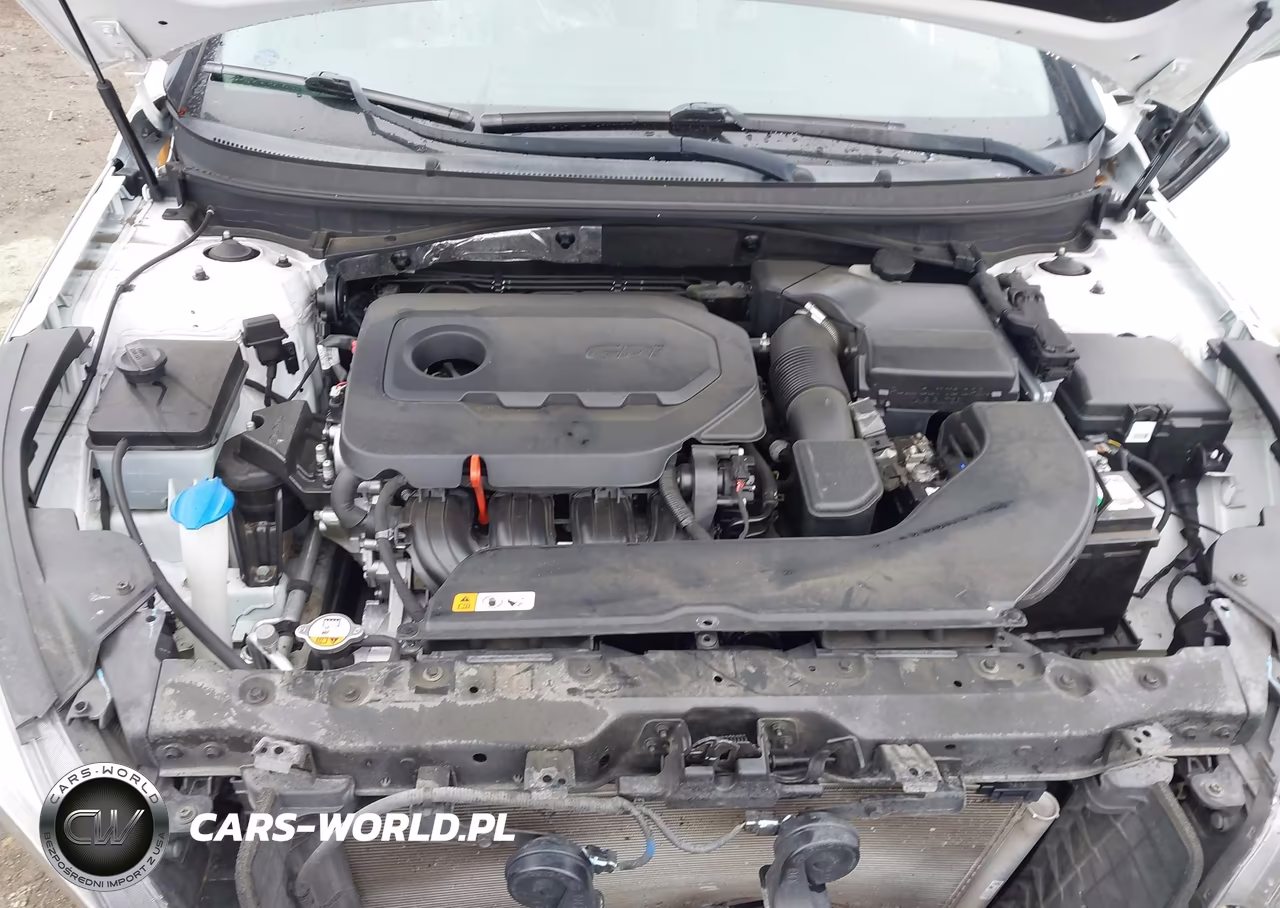 2016 Hyundai Sonata Se VIN:5NPE24AF5GH337268 - 10