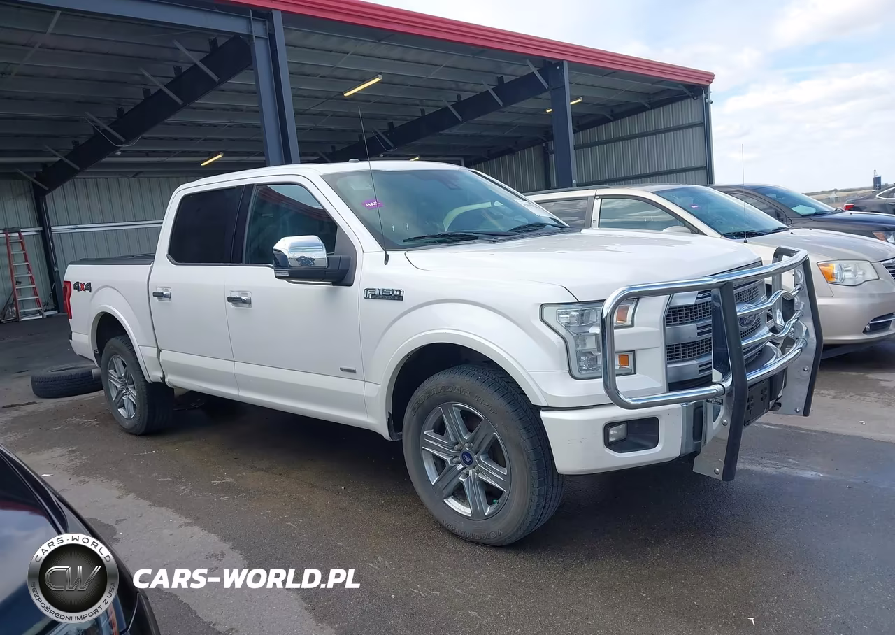 2015 Ford F-150 Platinum VIN:1FTEW1EG2FFA20319 - 13