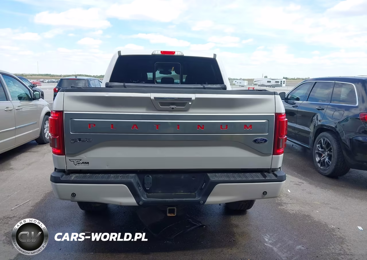 2015 Ford F-150 Platinum VIN:1FTEW1EG2FFA20319 - 16