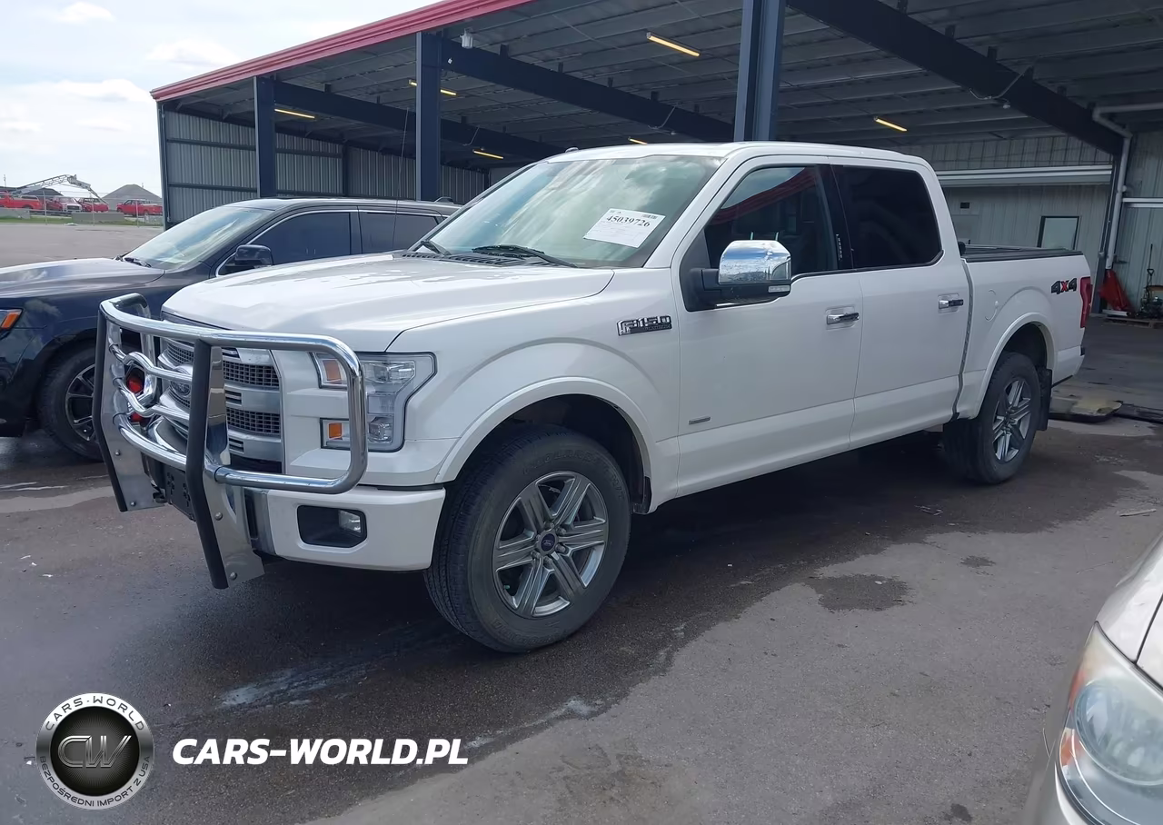 2015 Ford F-150 Platinum VIN:1FTEW1EG2FFA20319 - 2