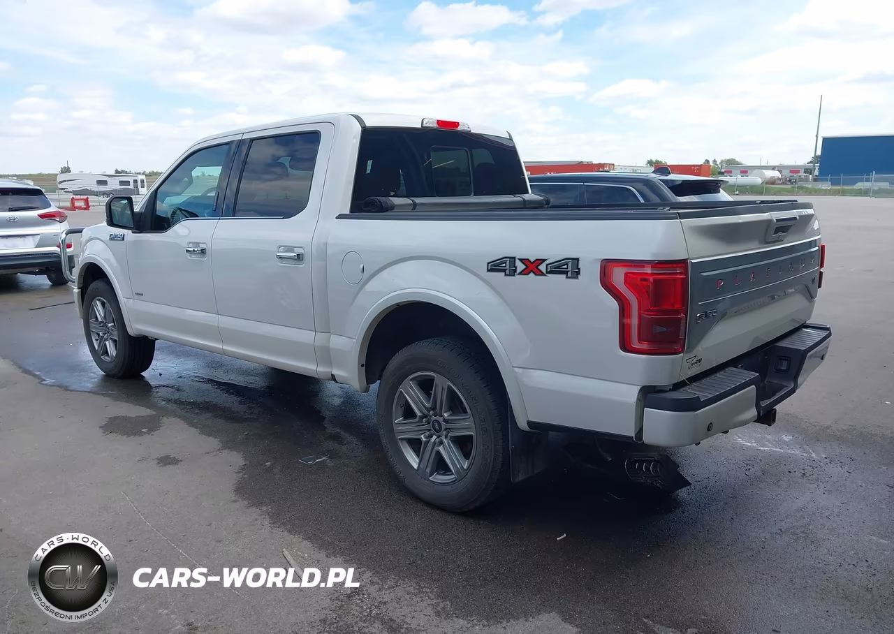 2015 Ford F-150 Platinum VIN:1FTEW1EG2FFA20319 - 3