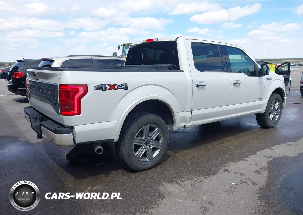 2015 Ford F-150 Platinum VIN:1FTEW1EG2FFA20319 - 4