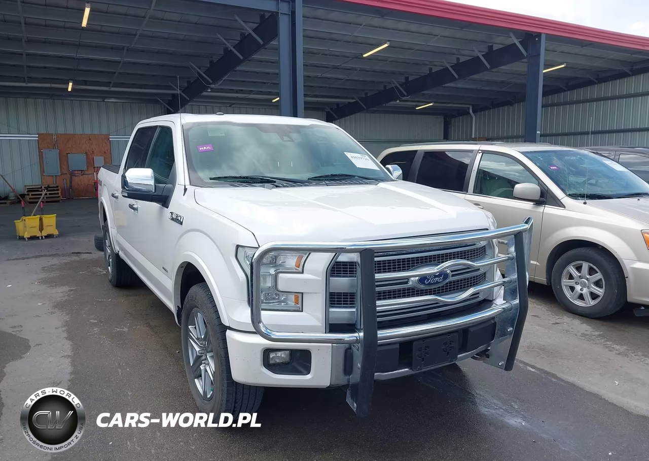 2015 Ford F-150 Platinum VIN:1FTEW1EG2FFA20319 - 6