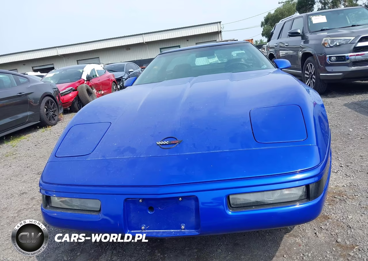 1994 Chevrolet Corvette VIN:1G1YY22P9R5112774 - 13