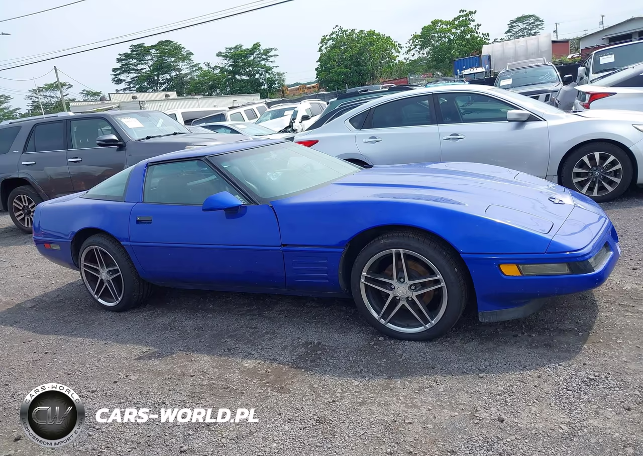 1994 Chevrolet Corvette VIN:1G1YY22P9R5112774 - 14