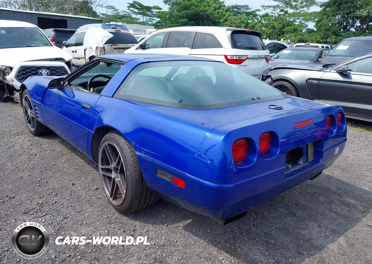 1994 Chevrolet Corvette VIN:1G1YY22P9R5112774 - 3