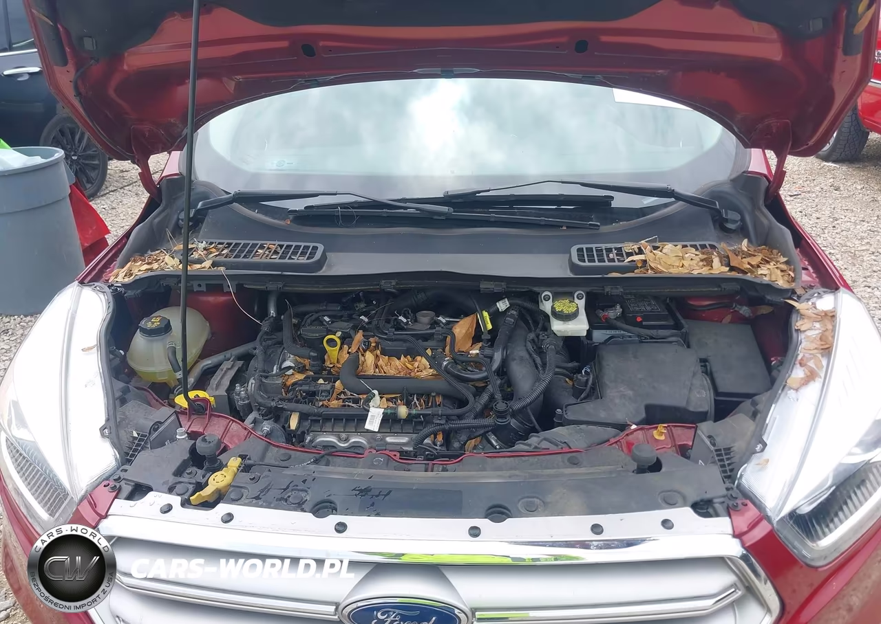 2019 Ford Escape Sel VIN:1FMCU0HD5KUA74496 - 10