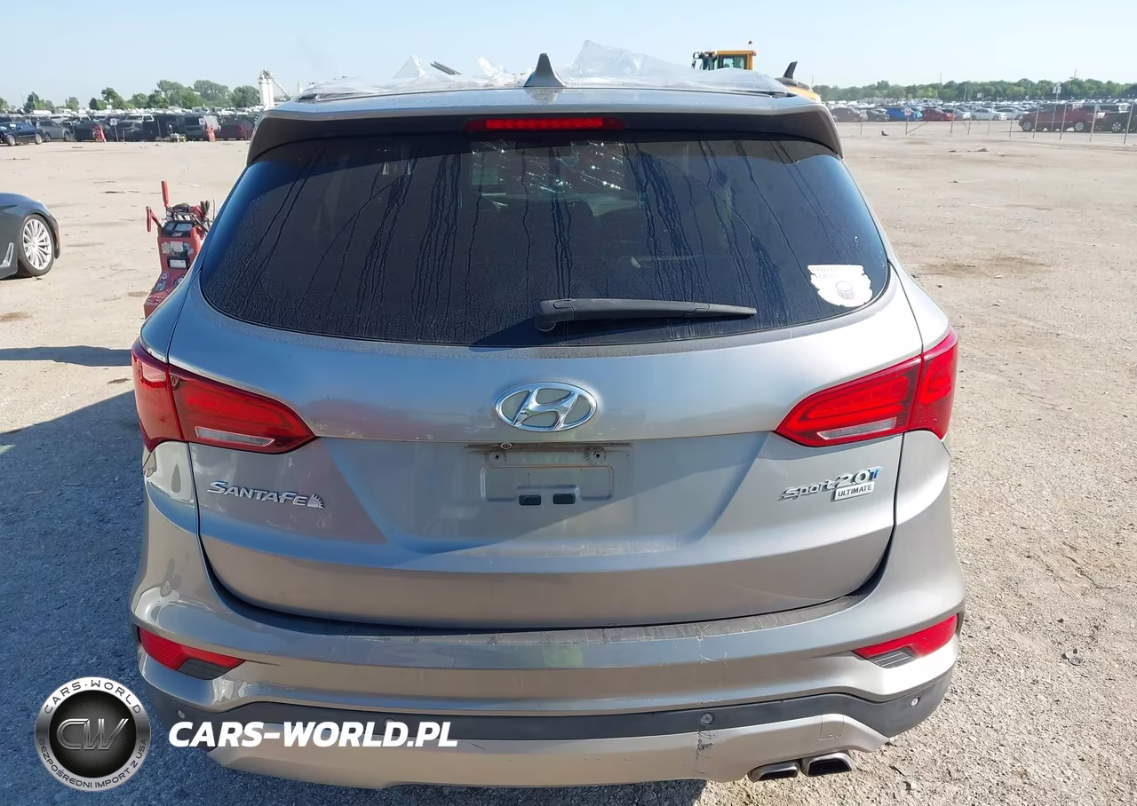 2017 Hyundai Santa Fe Sport 2.0T Ultimate VIN:5XYZW4LA5HG401678 - 16