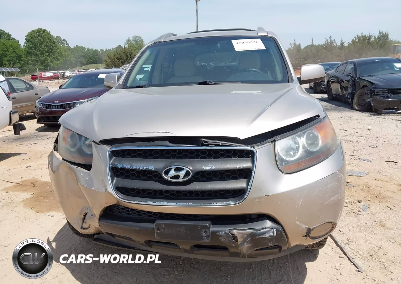 2007 Hyundai Santa Fe Gls VIN:5NMSG13D77H095451 - 6