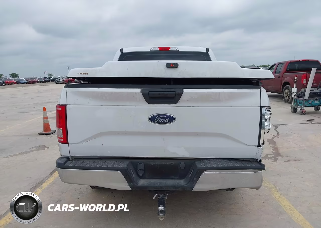 2016 Ford F-150 Xl VIN:1FTEW1C88GKD59011 - 15