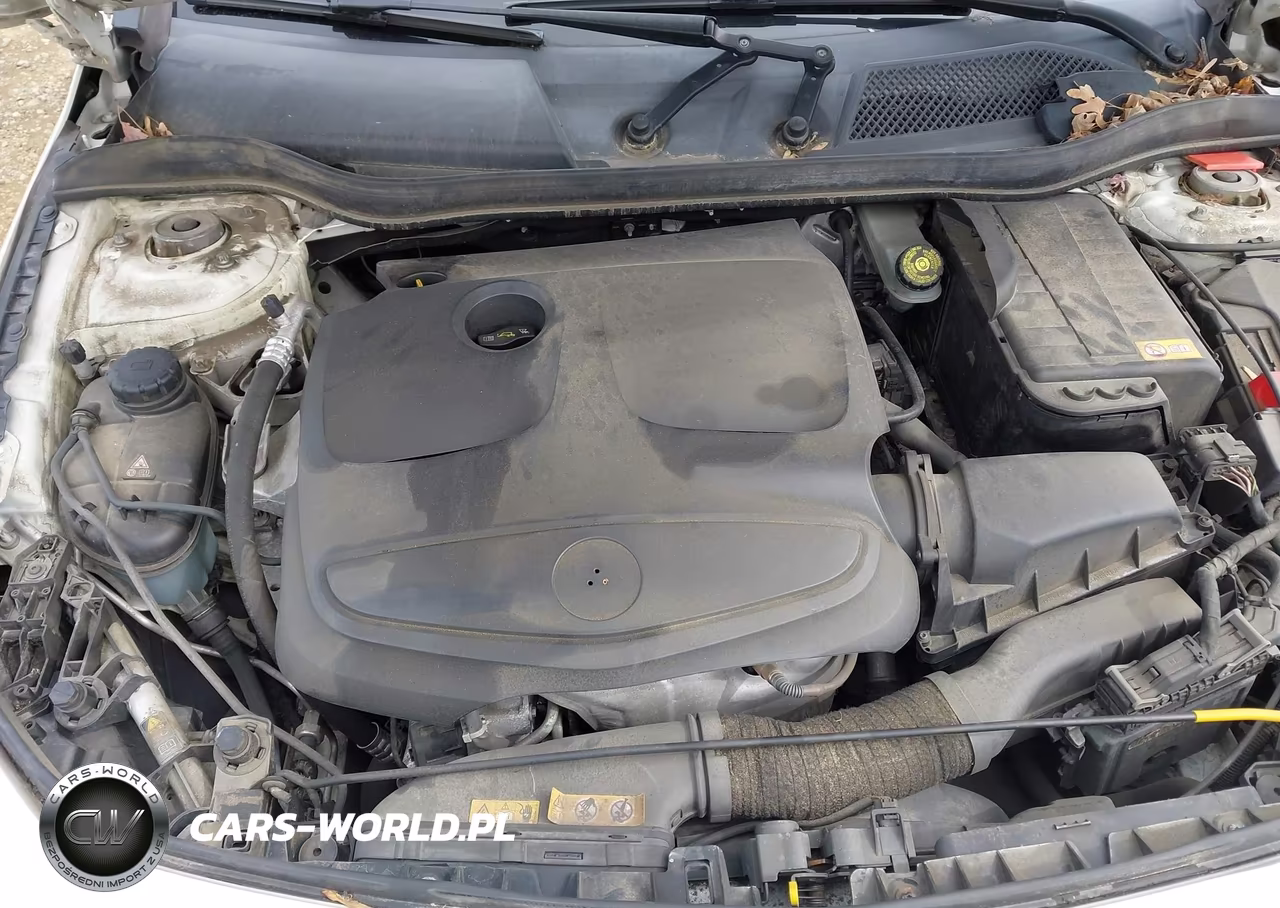 2014 Mercedes-Benz Cla 250 VIN:WDDSJ4EB6EN069105 - 10