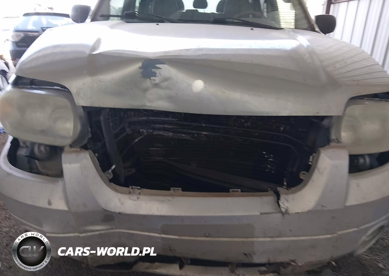 2005 Ford Escape Limited VIN:1FMYU04115KA48494 - 6