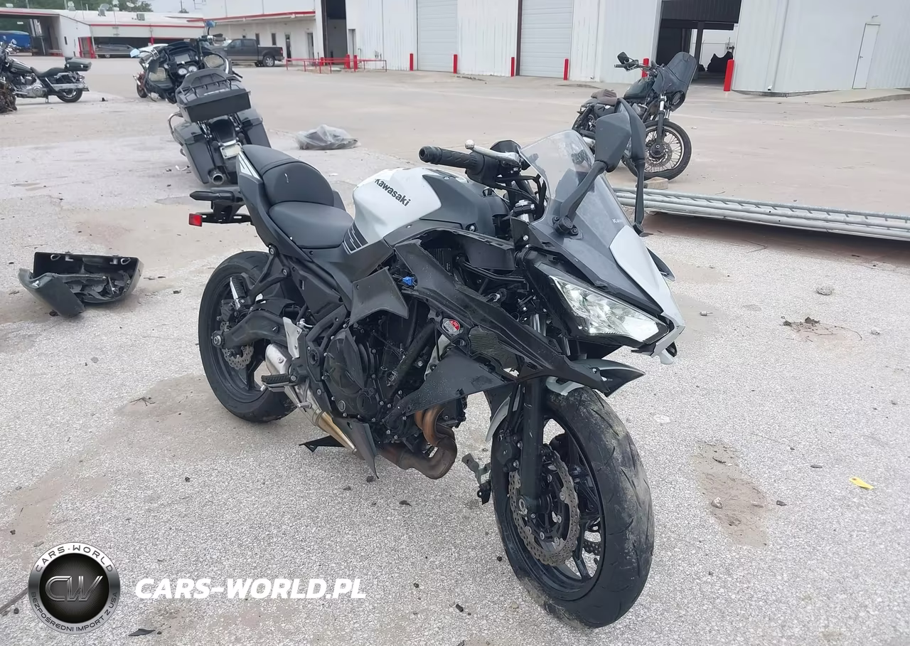 2026 Kawasaki Ex650 P – zdjęcie 1 z 13