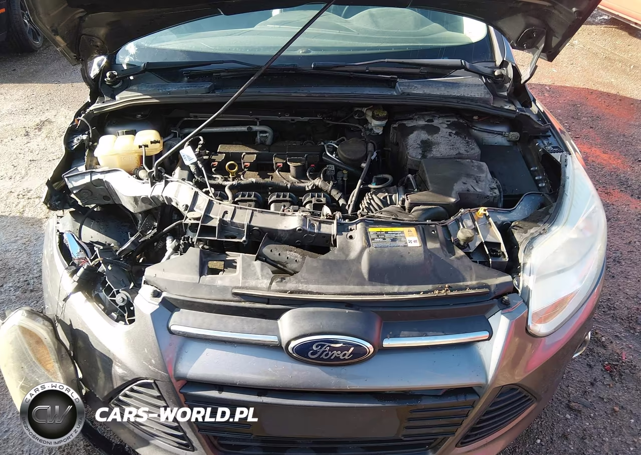 2014 Ford Focus Se VIN:1FADP3K23EL253130 - 10