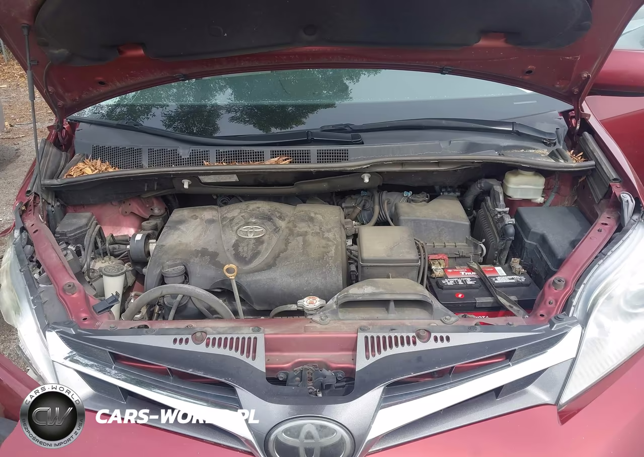 2019 Toyota Sienna Xle 8 Passenger VIN:5TDYZ3DC6KS976525 - 10