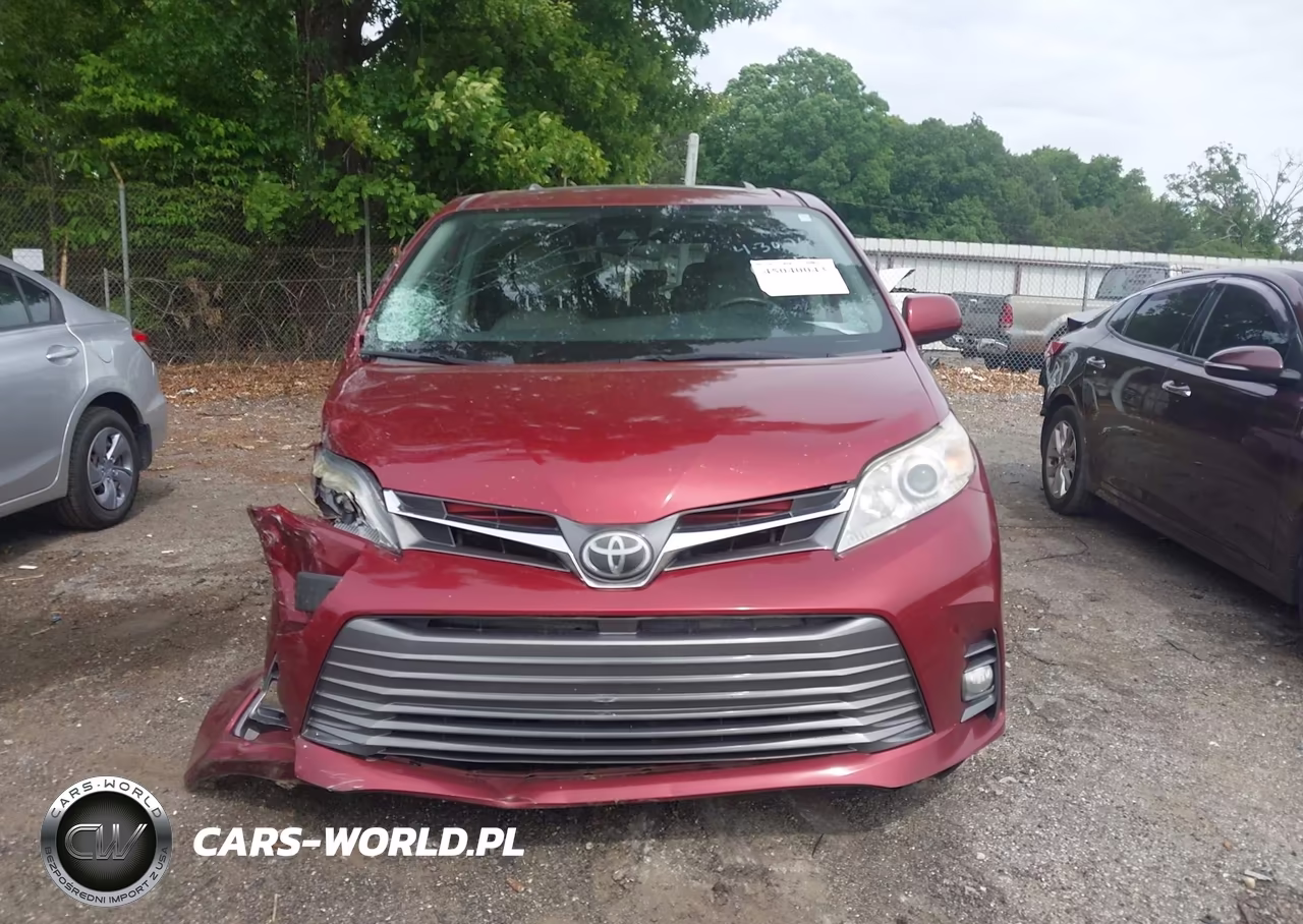 2019 Toyota Sienna Xle 8 Passenger VIN:5TDYZ3DC6KS976525 - 12