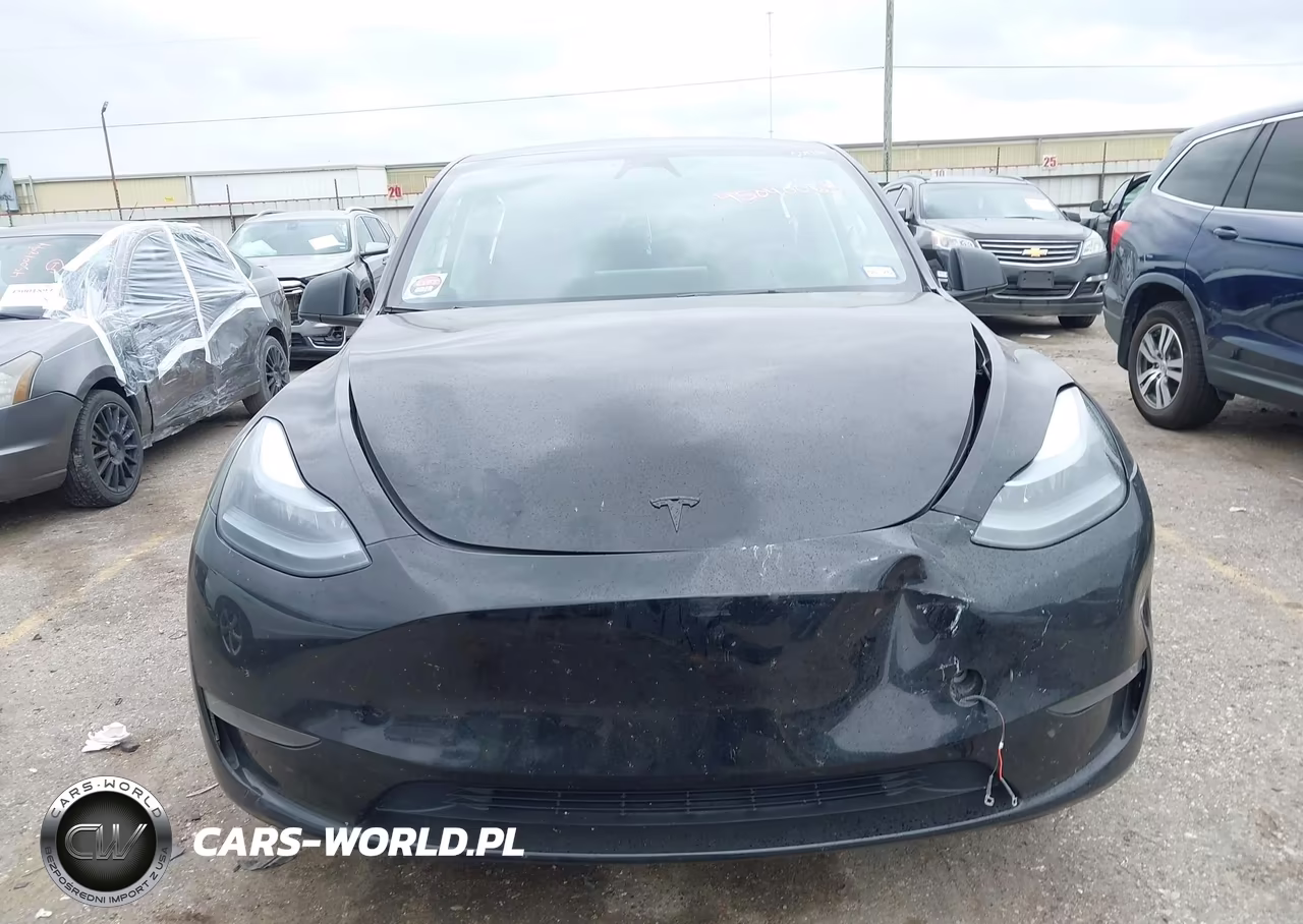 2024 Tesla Model Y VIN:7SAYGDED5RA321807 - 12