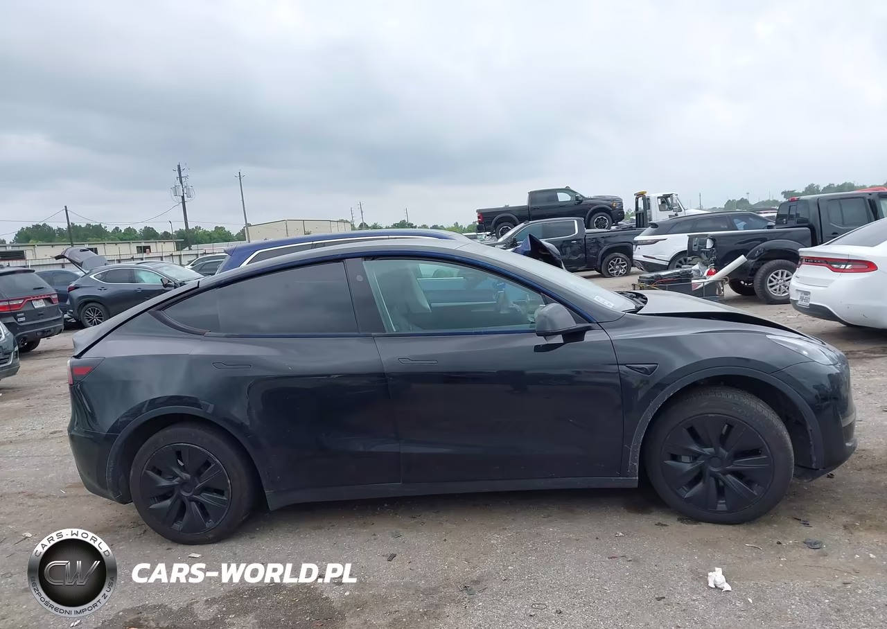 2024 Tesla Model Y VIN:7SAYGDED5RA321807 - 13