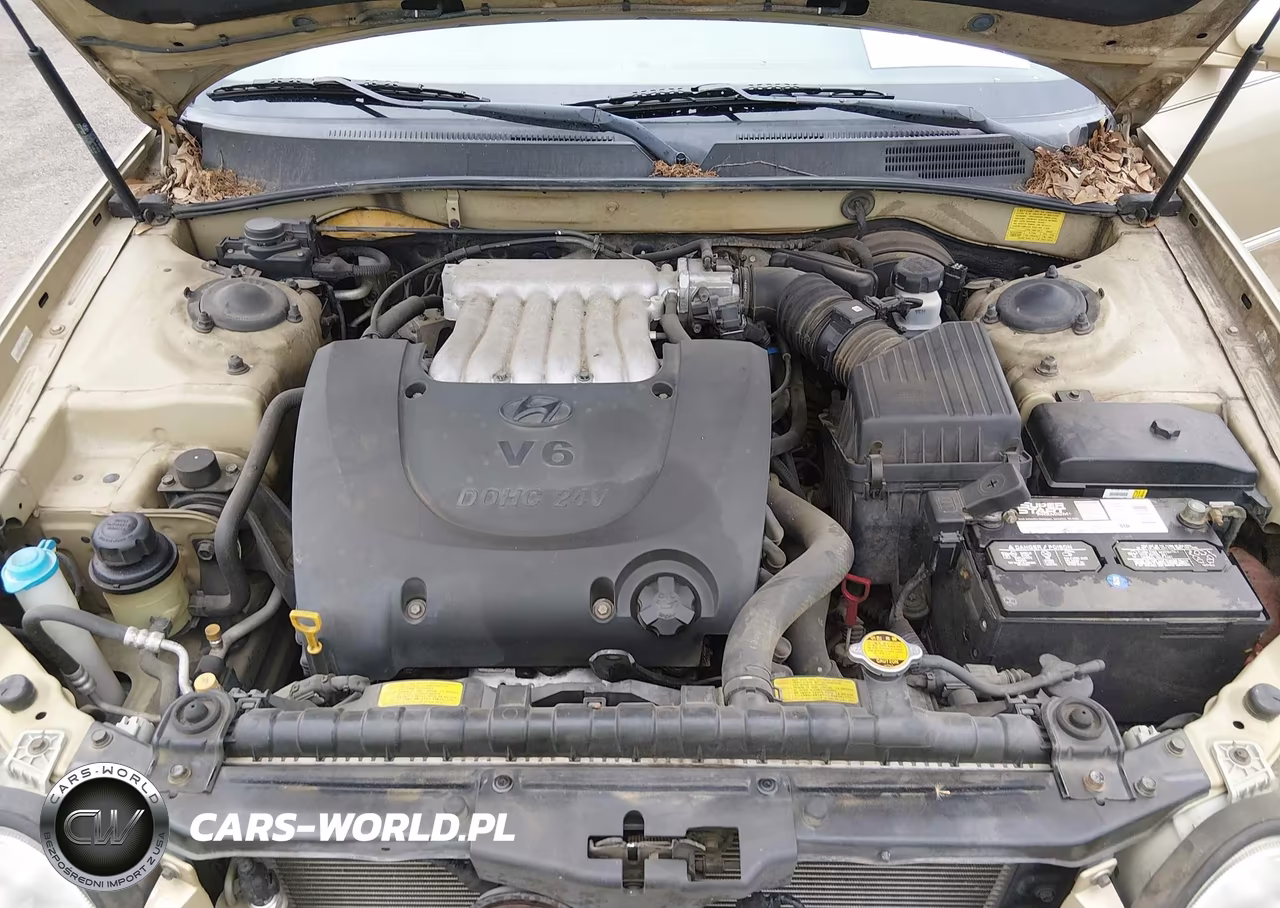 2003 Hyundai Sonata Gls-Lx VIN:KMHWF35H93A907932 - 10