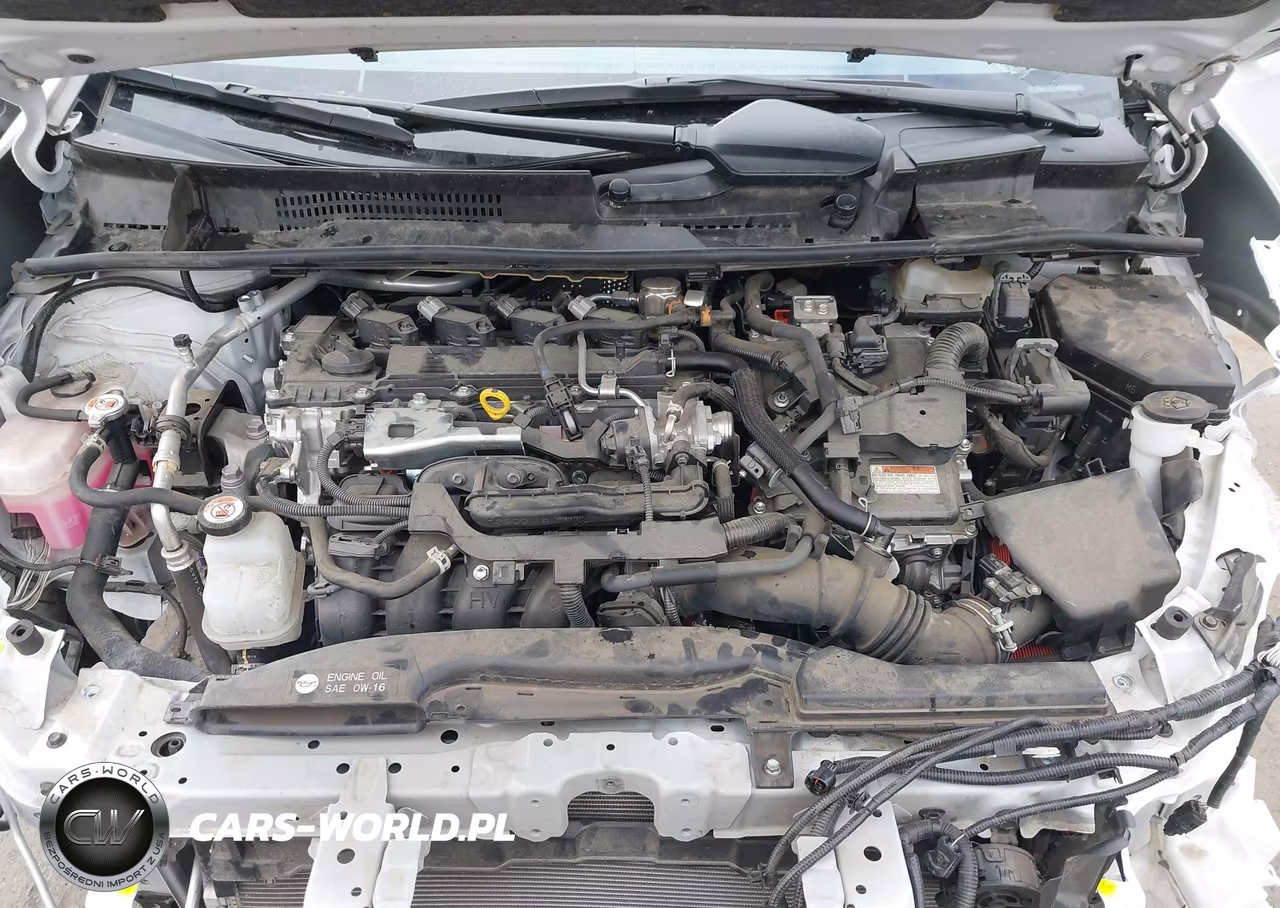 TOYOTA PRIUS LE VIN:JTDACAAUXR3019623 - 10
