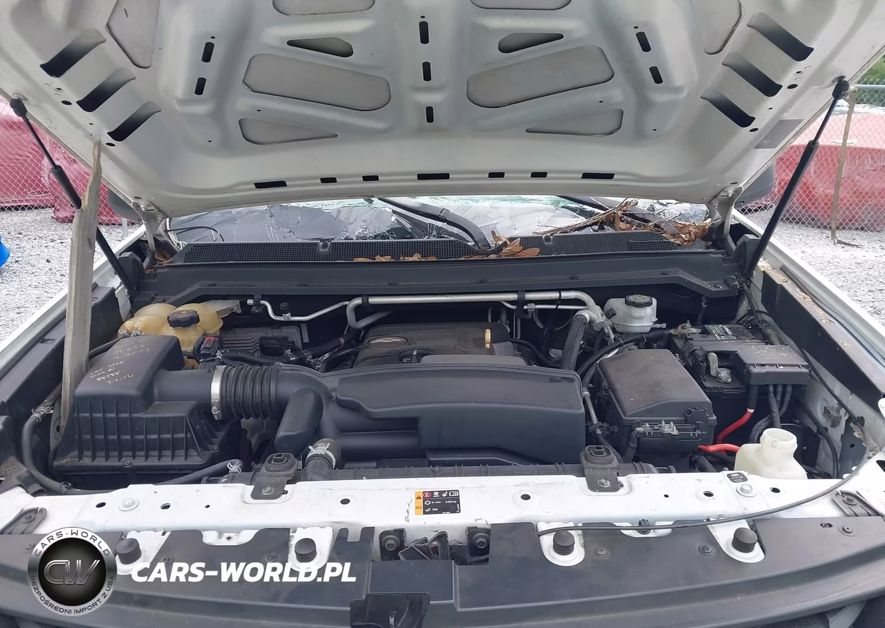 2015 Chevrolet Colorado Wt VIN:1GCHSAEA9F1176598 - 10