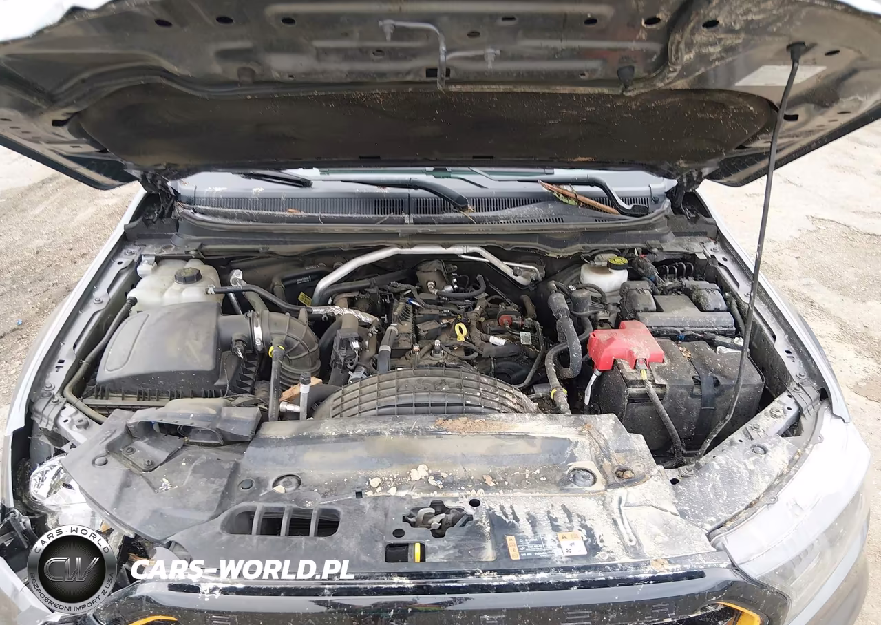 2023 Ford Ranger Xlt VIN:1FTER4EH6PLE06942 - 10