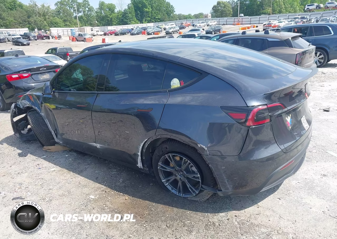 2024 Tesla Model Y Long Range Single Motor Rear-Wheel Drive-Rwd VIN:7SAYGDED3RA303984 - 3