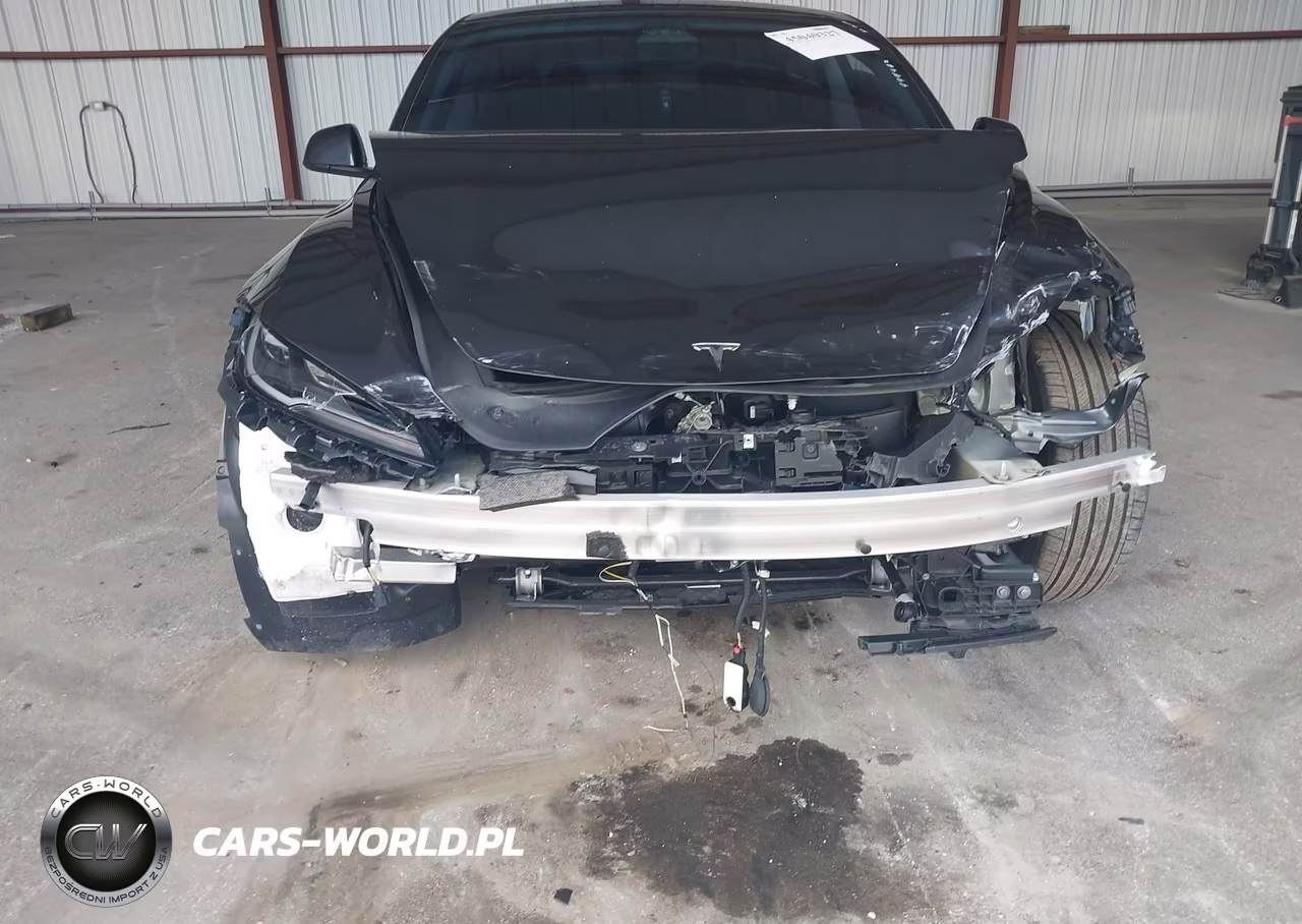2025 Tesla Model 3 Long Range Rear-Wheel Drive-Standard Rear-Wheel Drive VIN:5YJ3E1EA3SF999482 - 19