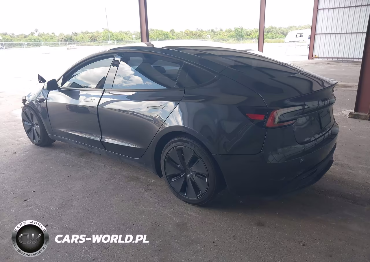 2025 Tesla Model 3 Long Range Rear-Wheel Drive-Standard Rear-Wheel Drive VIN:5YJ3E1EA3SF999482 - 3