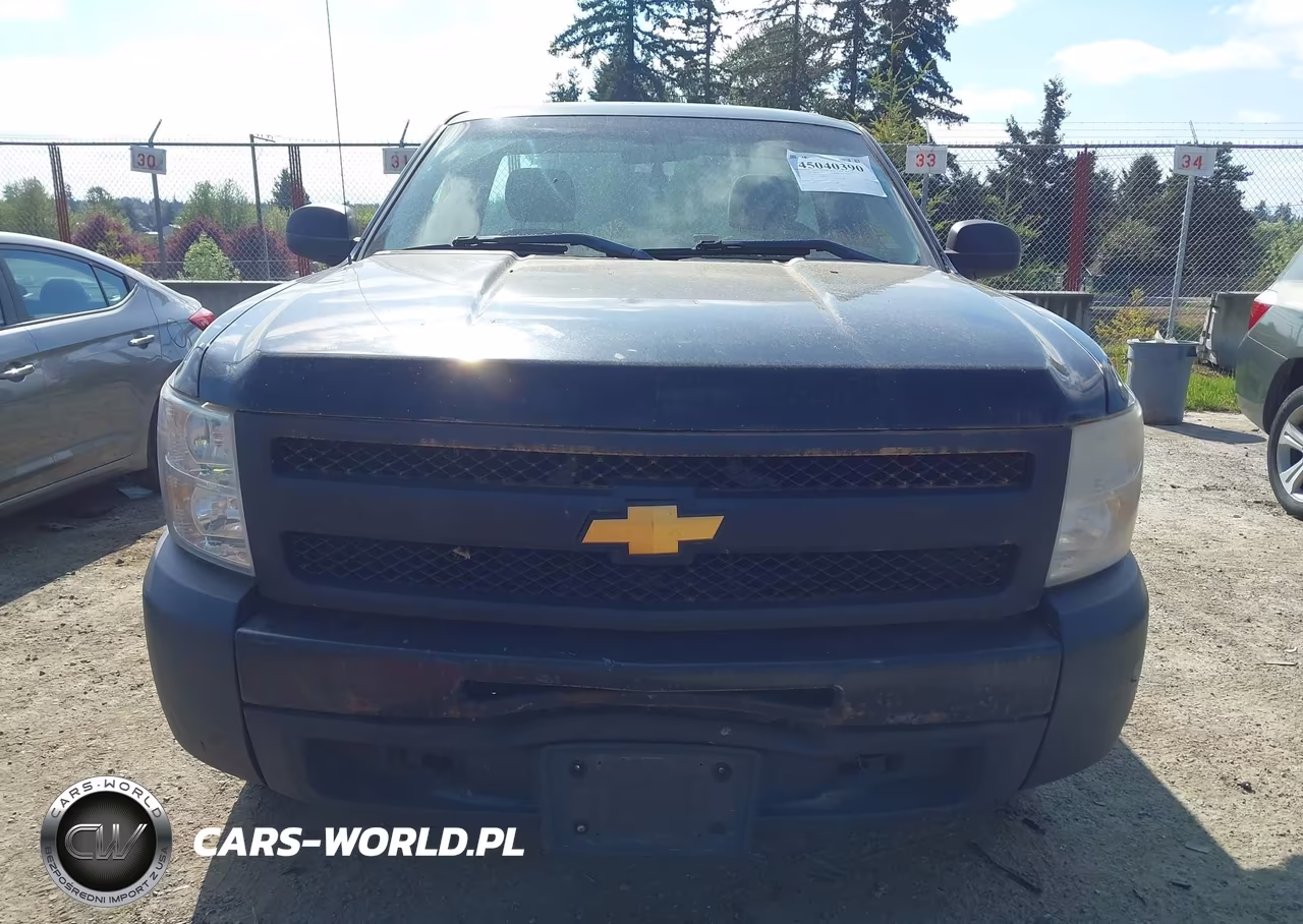 2013 Chevrolet Silverado 1500 Work Truck VIN:1GCNCPEA4DZ333424 - 12