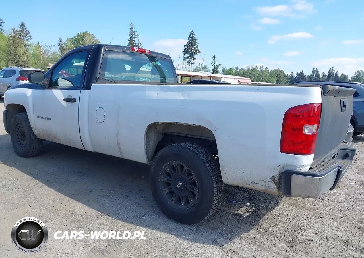 2013 Chevrolet Silverado 1500 Work Truck VIN:1GCNCPEA4DZ333424 - 3