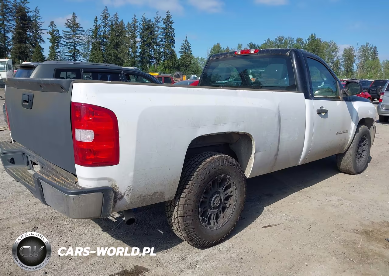 2013 Chevrolet Silverado 1500 Work Truck VIN:1GCNCPEA4DZ333424 - 4