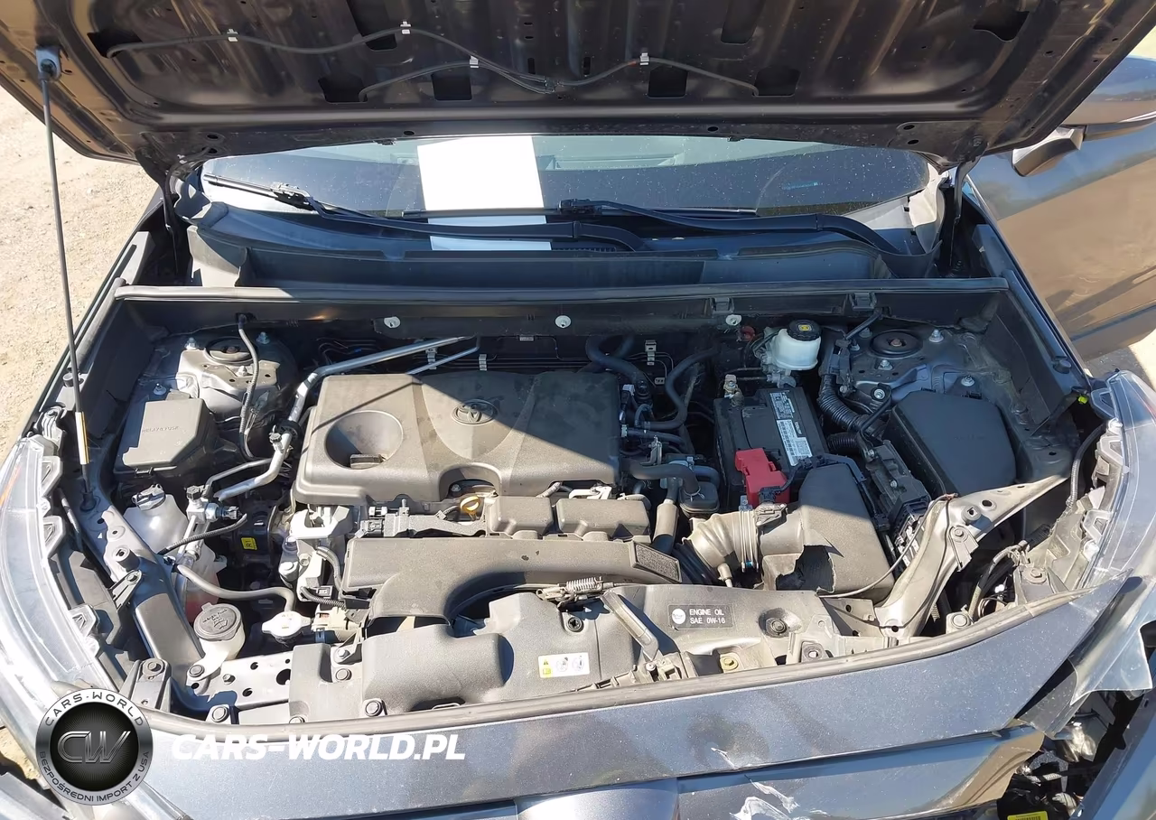 2019 Toyota Rav4 Le VIN:2T3K1RFV5KW034527 - 10