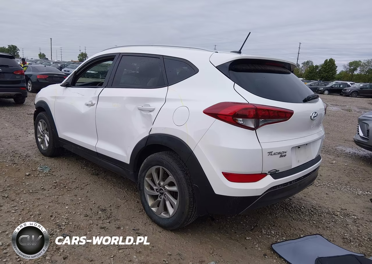 2016 Hyundai Tucson Eco VIN:KM8J3CA24GU041212 - 3