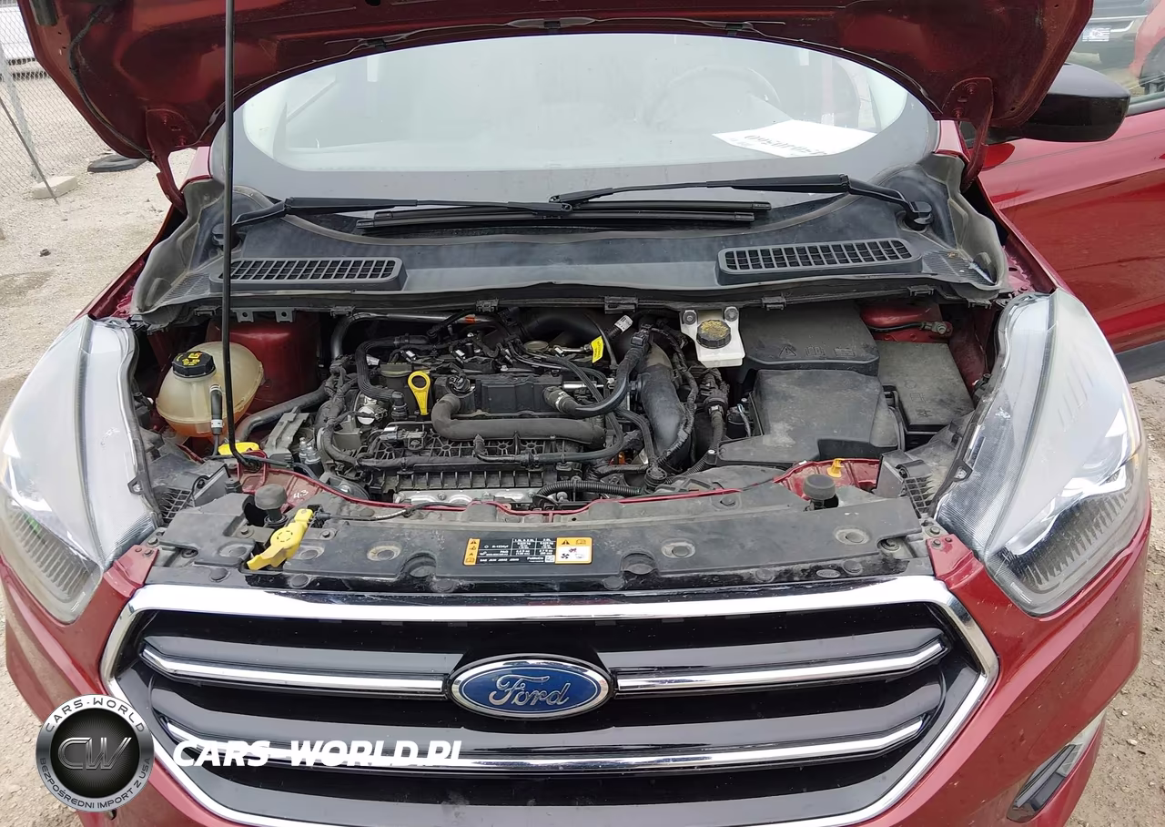 2019 Ford Escape Se VIN:1FMCU0GD7KUA96744 - 10
