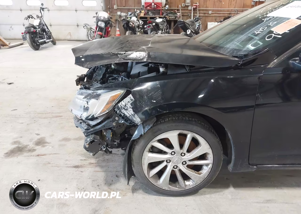 2017 Acura Ilx Acurawatch Plus Package VIN:19UDE2F37HA015067 - 19