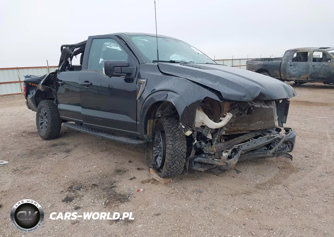 2024 Ford F-150 Tremor – zdjęcie 1 z 10
