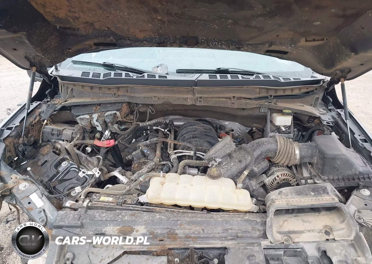 2024 Ford F-150 Tremor VIN:1FTFW4L55RFB91044 - 10
