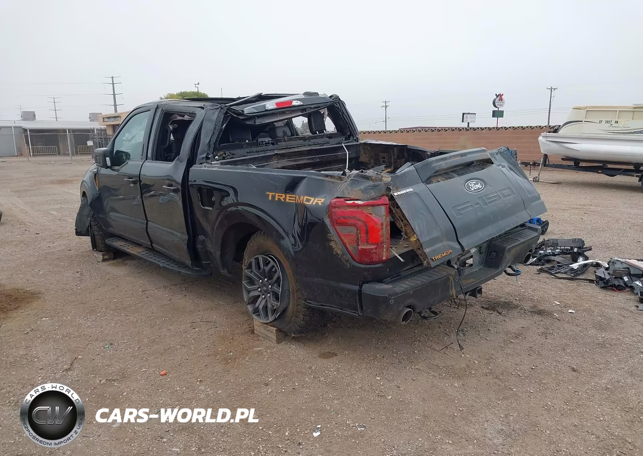 2024 Ford F-150 Tremor VIN:1FTFW4L55RFB91044 - 3