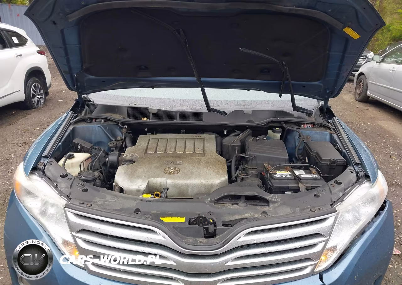 2009 Toyota Venza Base V6 VIN:4T3BK11A29U011574 - 10