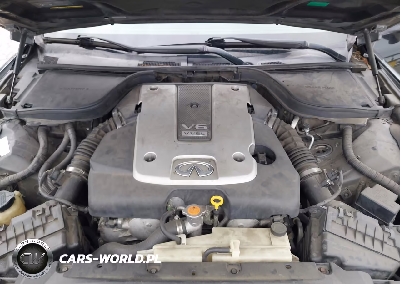 2008 Infiniti G37 Journey VIN:JNKCV64E28M108534 - 10