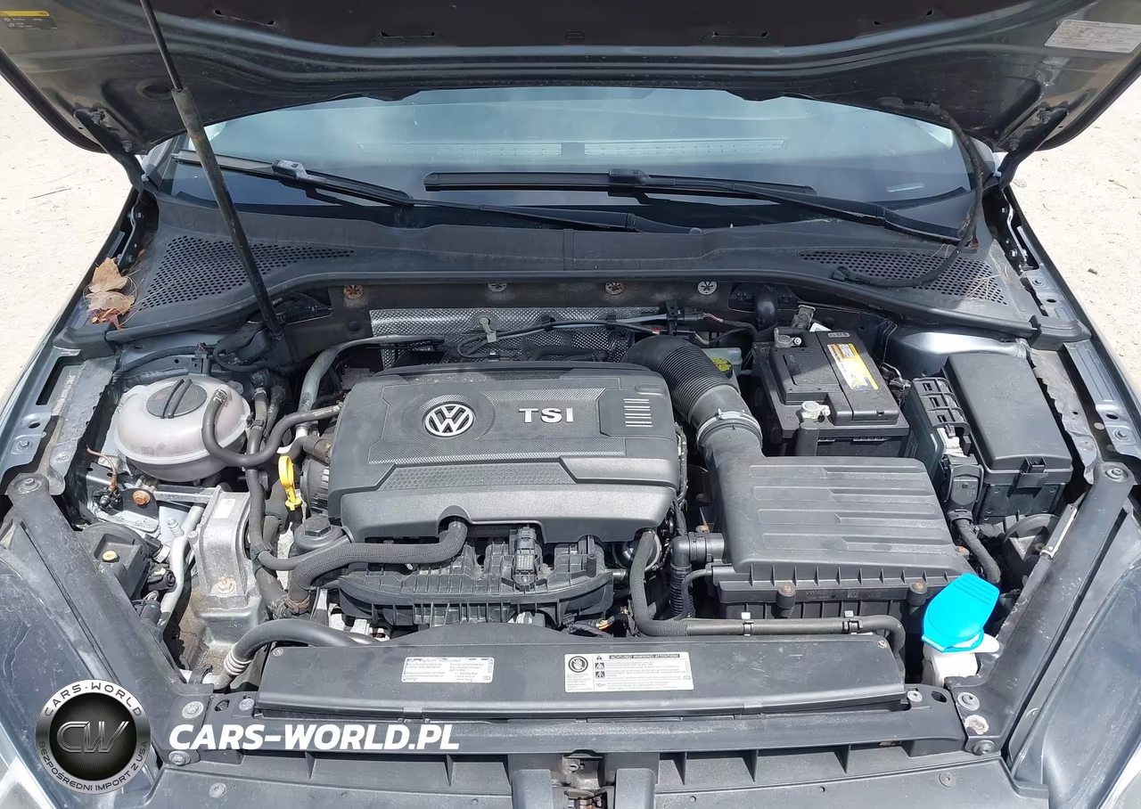 2015 Volkswagen Golf Sportwagen Tsi S 4-Door VIN:3VWC17AU6FM503216 - 10